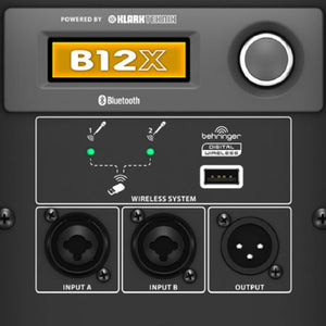B12X 2 Way 12" Powered Loudspeaker