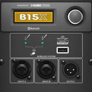 B15X 2 Way 15" Powered Loudspeaker