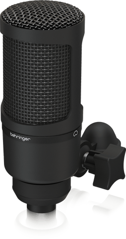 BX2020 Studio Condenser Mic