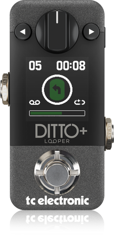 DITTO+ LOOPER