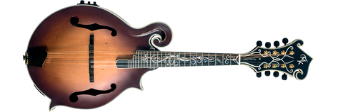 Legacy Dragonfly Flame Electric